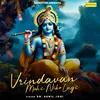 About Vrindavan Mohe Niko Lage Song
